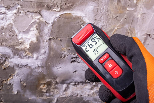 West Pelzer, SC Mold Removal Company